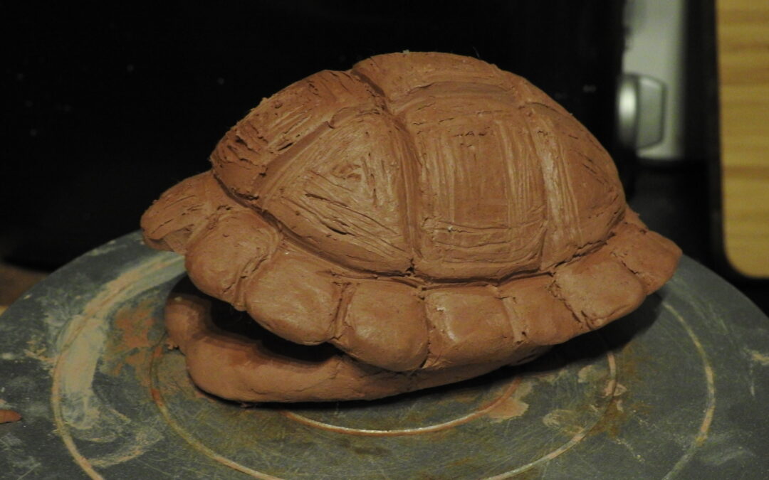 Tortoise Shell