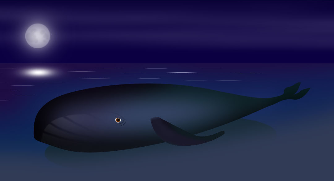 Beached Whale