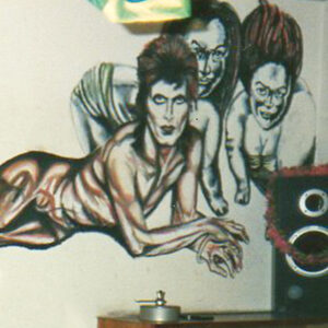 Diamond Dogs